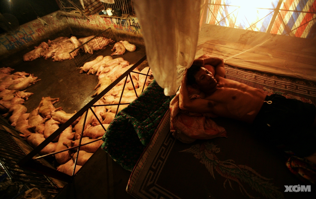 Một đêm ở lò mổ