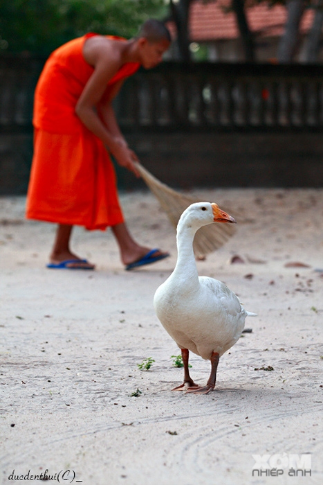Chú Lục ở chùa Khmer