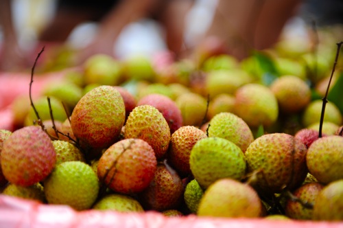VẢI ĐẦU MÙA