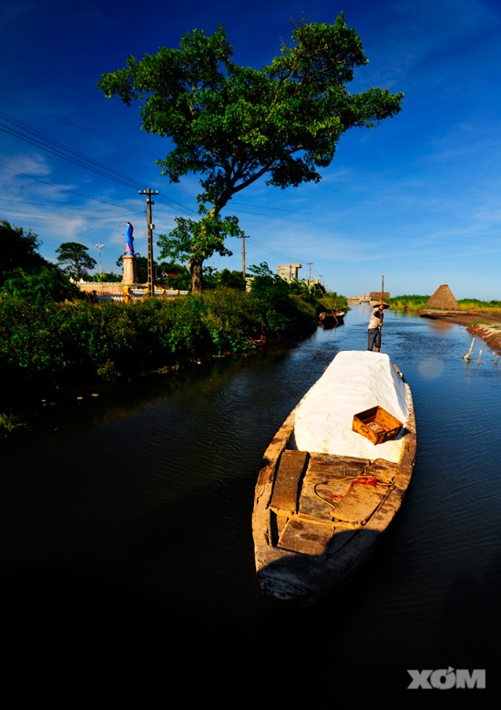 Muối về