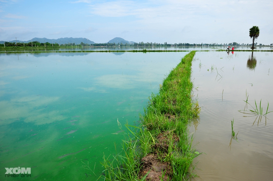 Cảnh sắc Miền Tây