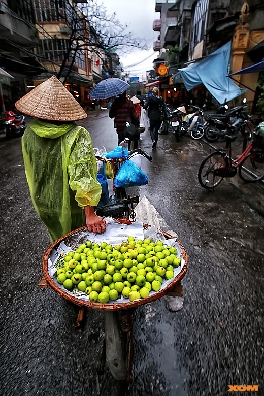 Mưa phố .... !!!!